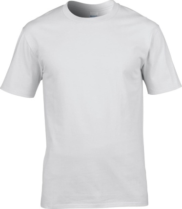 Футболка чоловіча Gildan Premium Cotton